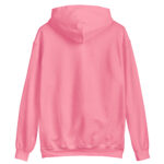 unisex-heavy-blend-hoodie-ash-front-68b4bd90dc68d.jpg