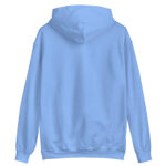 unisex-heavy-blend-hoodie-dark-heather-front-68b23d88b8e98.jpg