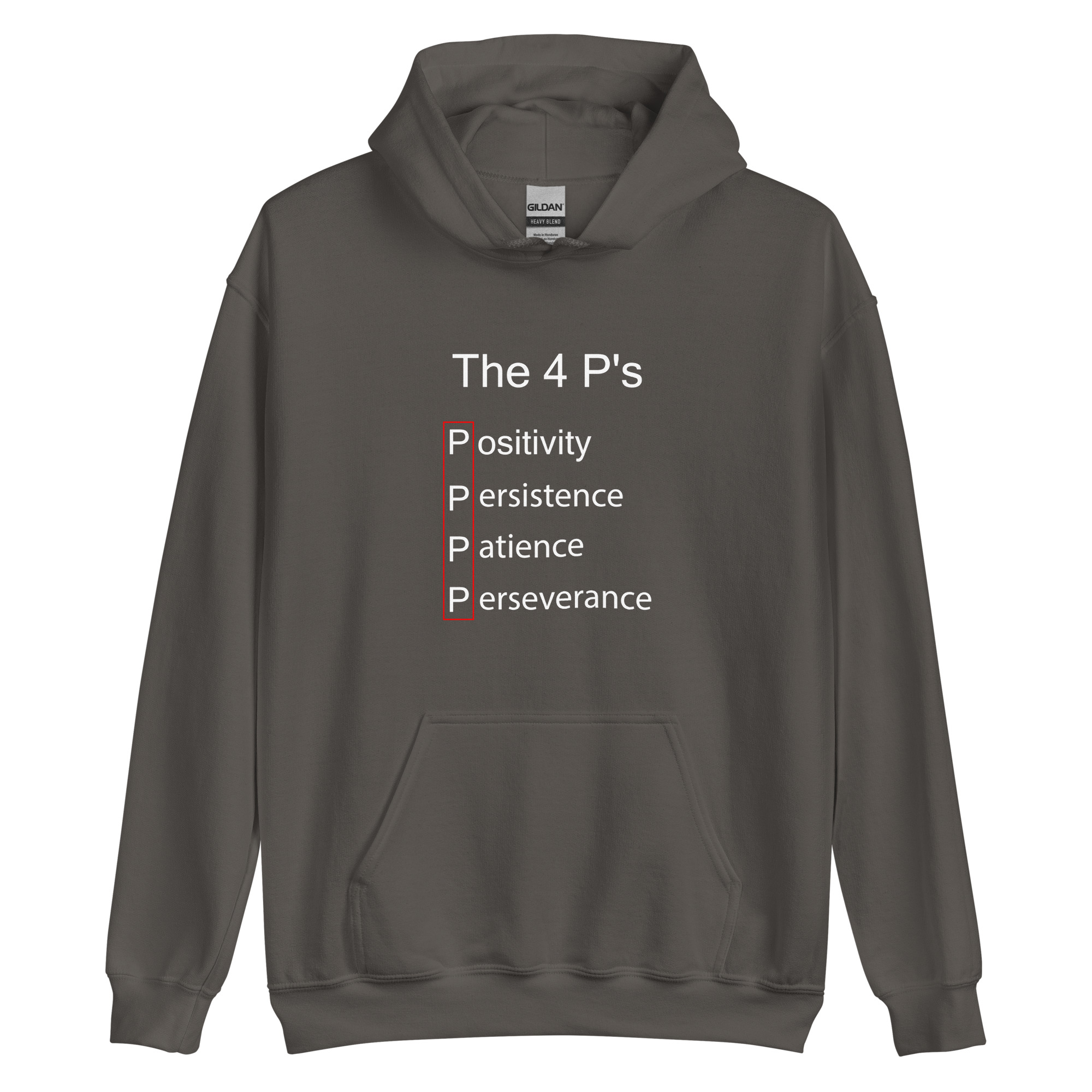 unisex-heavy-blend-hoodie-charcoal-front-68afd7d8803b0.jpg