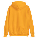 unisex-heavy-blend-hoodie-dark-heather-front-68b23d88b8e98.jpg