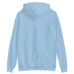 unisex-heavy-blend-hoodie-ash-front-68b4bd90dc68d.jpg