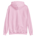 unisex-heavy-blend-hoodie-ash-front-68b4bd90dc68d.jpg