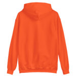 unisex-heavy-blend-hoodie-dark-heather-front-68b23d88b8e98.jpg