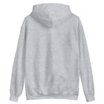 unisex-heavy-blend-hoodie-ash-front-68b4bd90dc68d.jpg