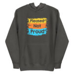cotton-heritage-m2580-i-unisex-premium-pullover-hoodie-sky-blue-front-68daee326c3c0.jpg