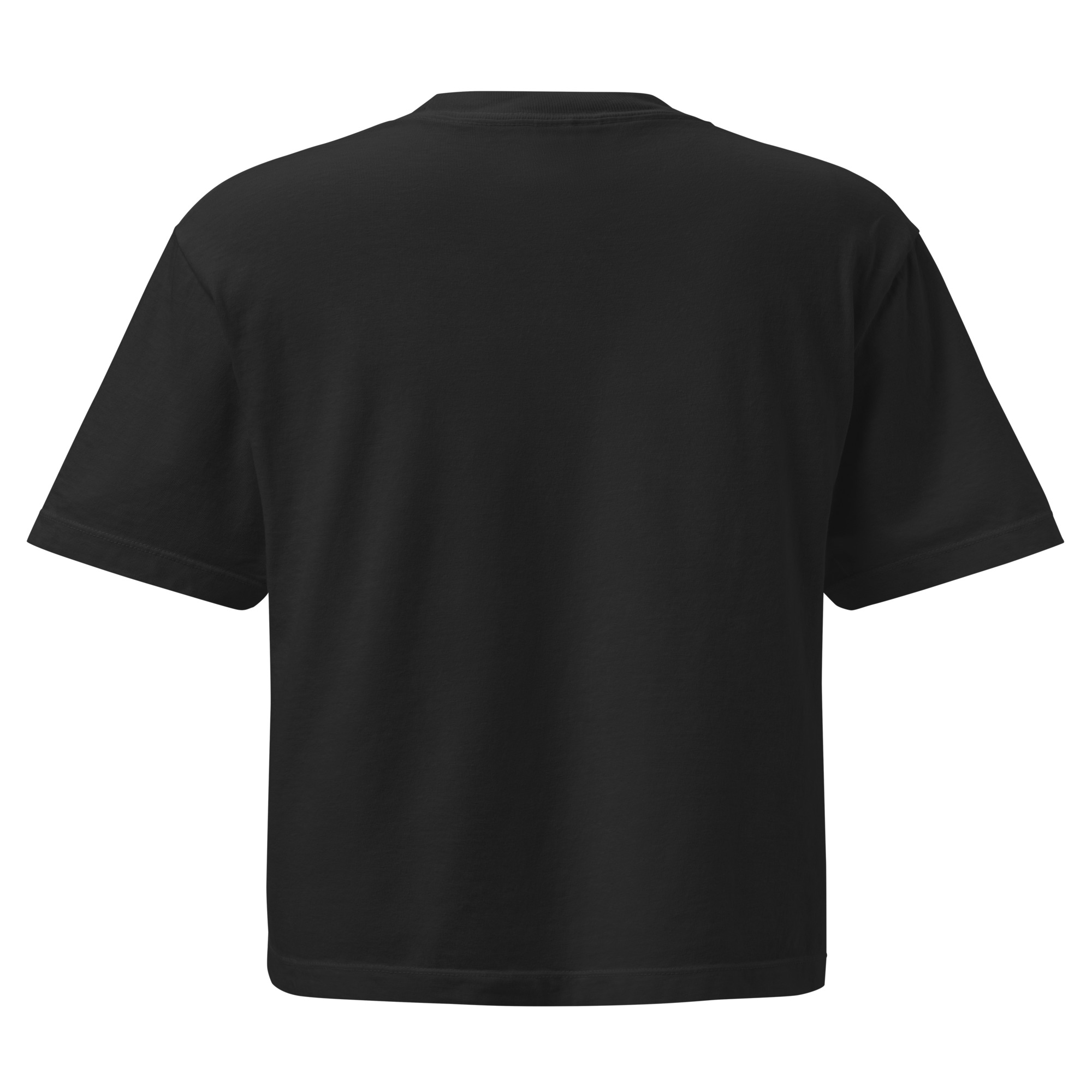 womens-heavyweight-boxy-t-shirt-black-back-68b7b8acc92d9.jpg