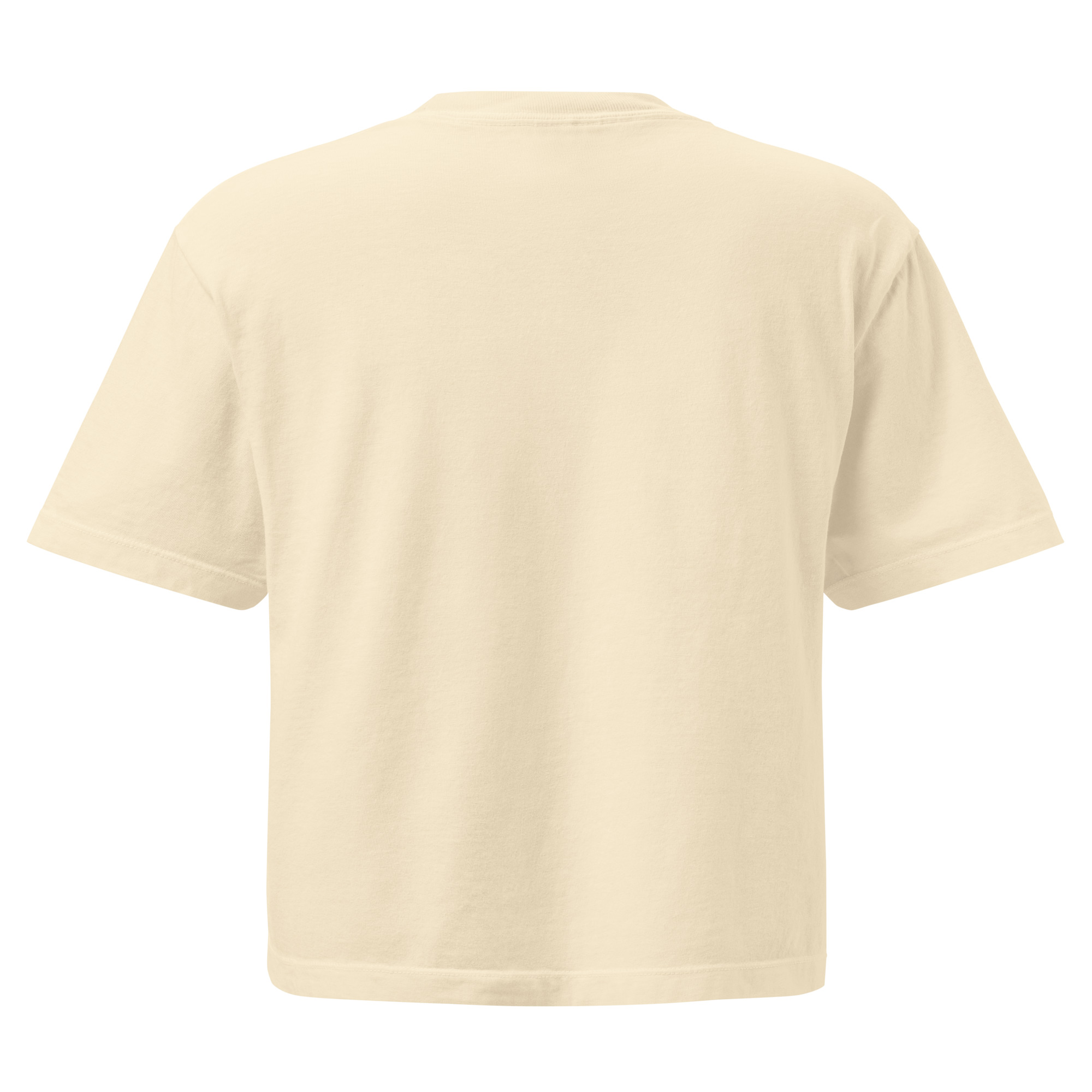 womens-heavyweight-boxy-t-shirt-ivory-back-68b7b8accac38.jpg