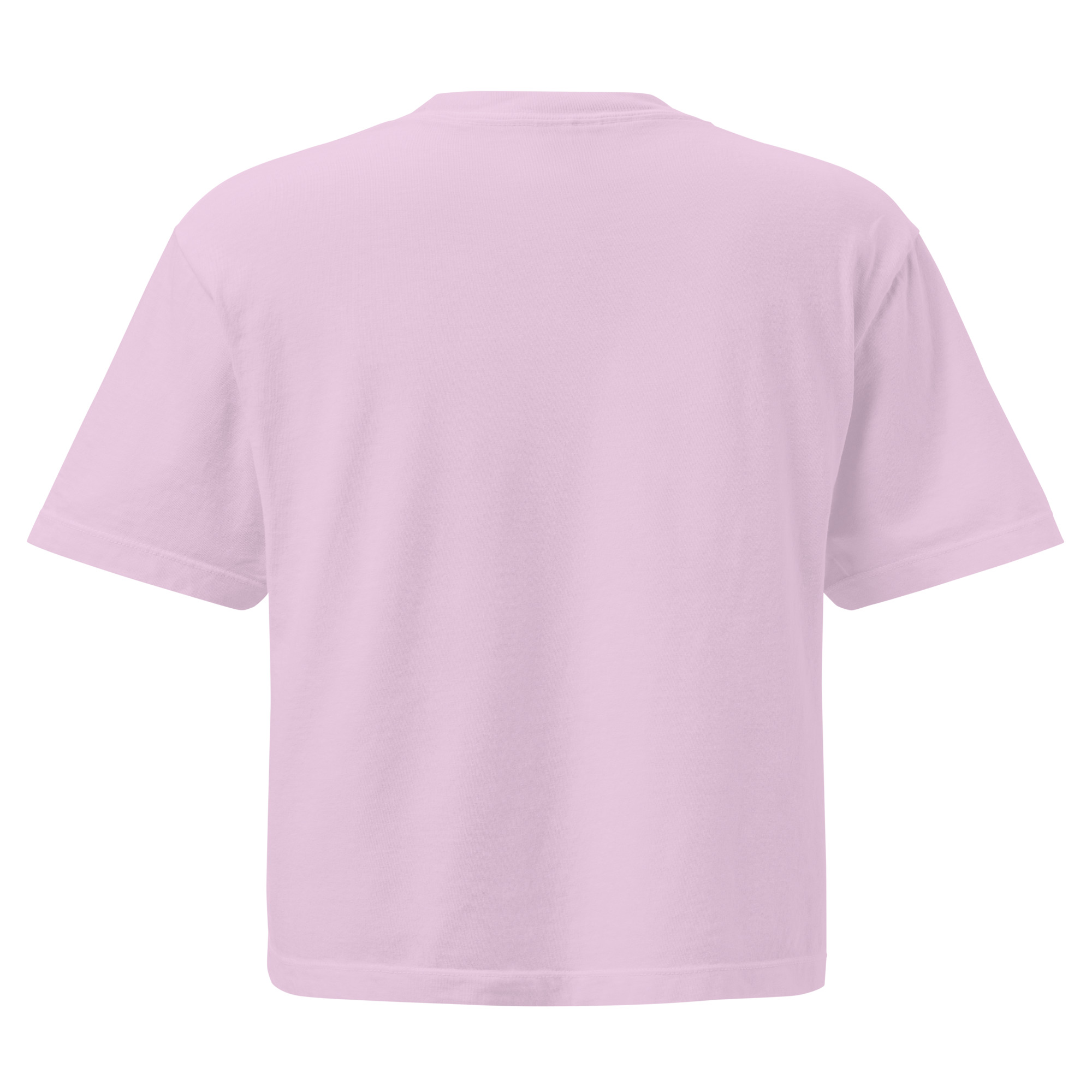 womens-heavyweight-boxy-t-shirt-orchid-back-68b7b8acca120.jpg