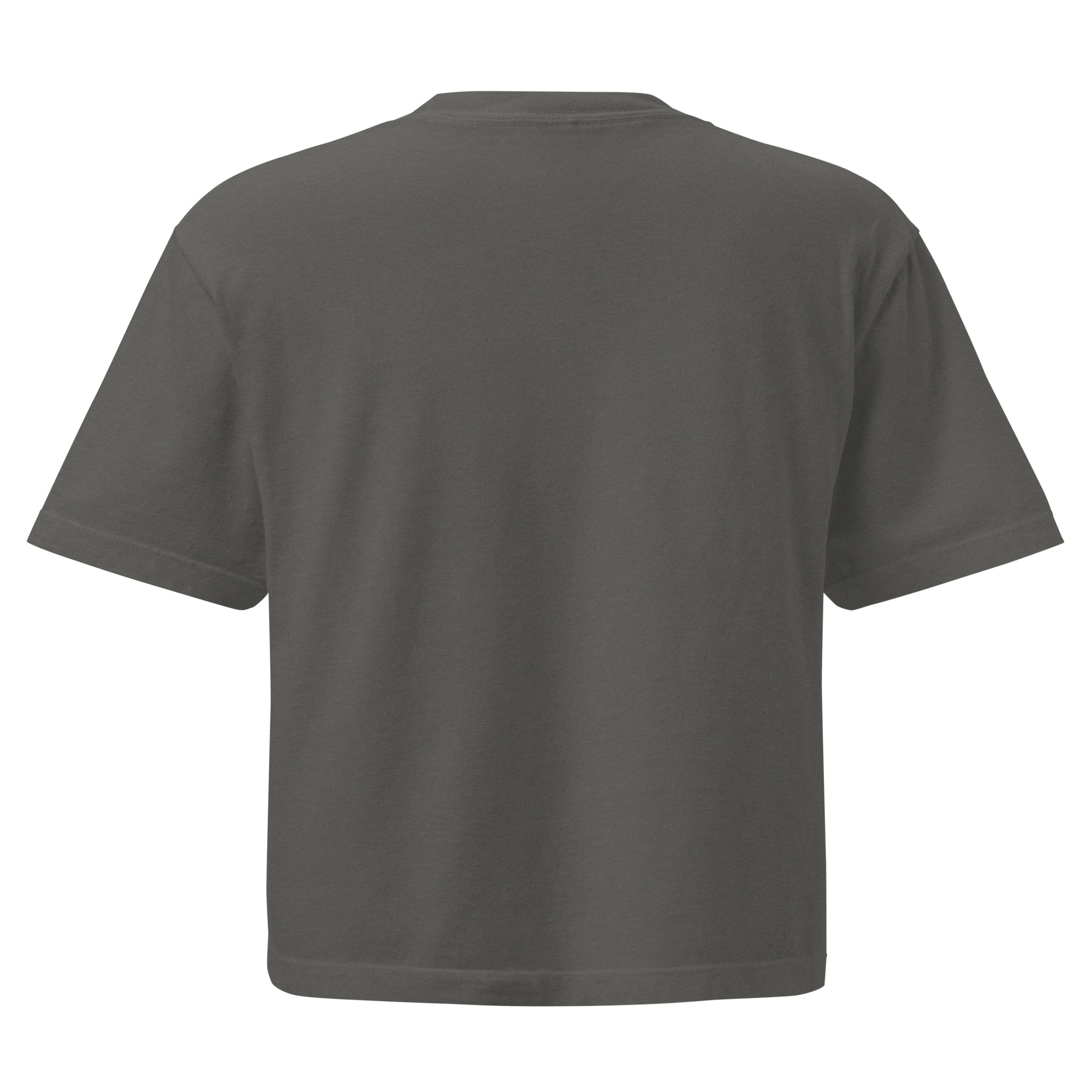 womens-heavyweight-boxy-t-shirt-pepper-back-68b7b8acc98b3.jpg