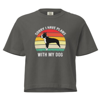 Women’s Sorry I Have Plans Heavyweight Mid Length Tee Shirt